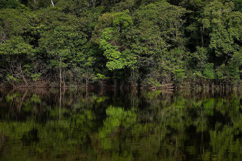 Beauty of the Manicoré River, Amazonas, Brazil (Photos). © Nilmar Lage / Greenpeace