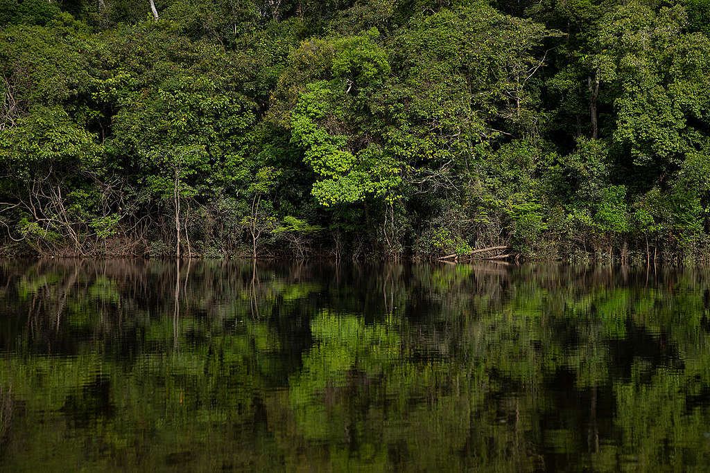 Beauty of the Manicoré River, Amazonas, Brazil (Photos). © Nilmar Lage / Greenpeace Beauty of the Manicoré River, Amazonas, Brazil (Photos). © Nilmar Lage / Greenpeace