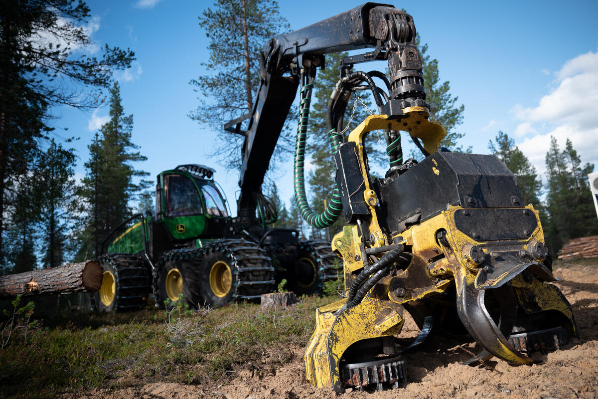 Forest and Deforestation Documentation in Muonio, Sweden. © Jason White / Greenpeace