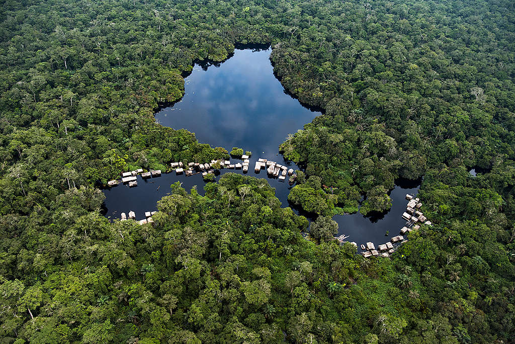Peatland Forest in DRC. © Daniel Beltrá / Greenpeace Peatland Forest in DRC. © Daniel Beltrá / Greenpeace