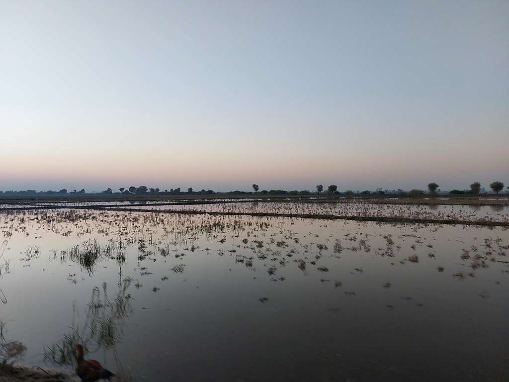 Stagnant water in Balochistan, Pakistan