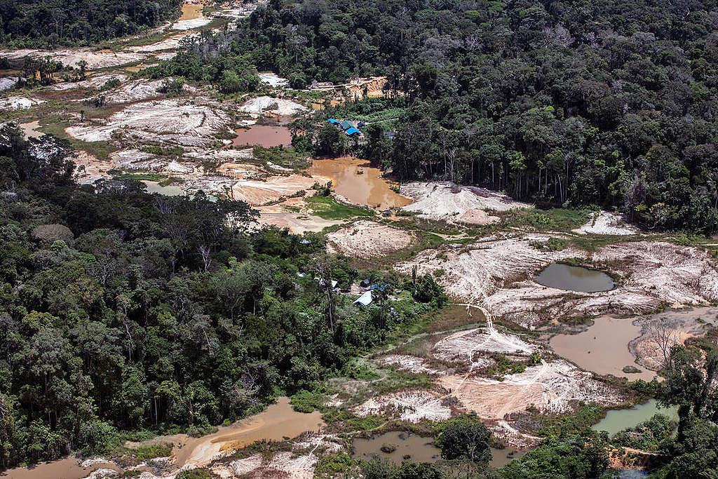 Illegal Mining in the Munduruku Indigenous Land. © Marizilda Cruppe / Greenpeace