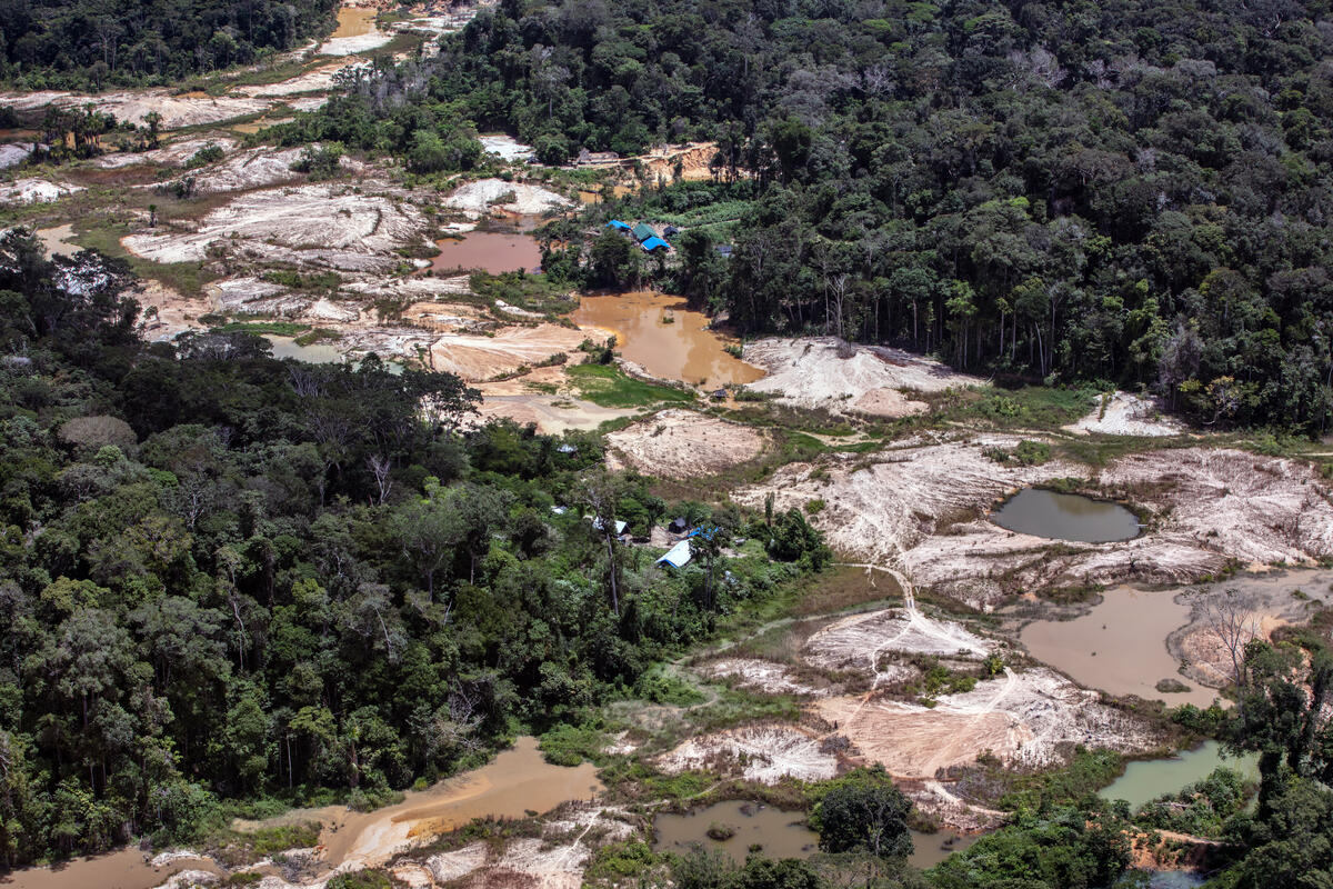 Illegal Mining in the Munduruku Indigenous Land. © Marizilda Cruppe / Greenpeace