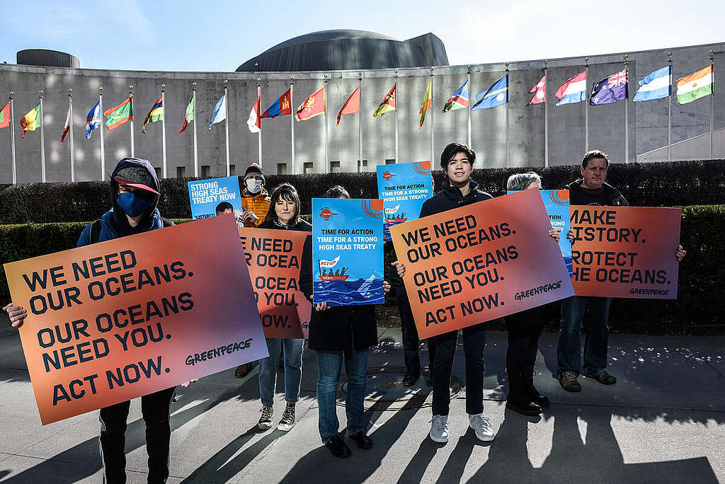 UN Meeting on Global Oceans Treaty - Messages in New York. © Stephanie Keith / Greenpeace