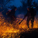 Dry grass fire in the Astrakhan Nature Reserve