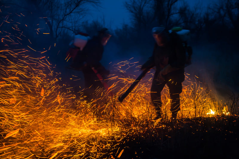 Dry grass fire in the Astrakhan Nature Reserve