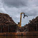 Loaded Barge at Pulpwood Concession PT AHL in Kalimantan. © Ulet Ifansasti / Greenpeace