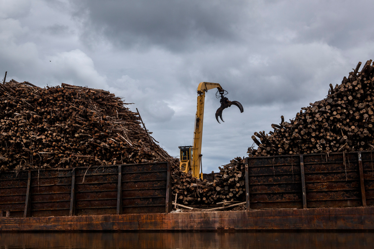 Loaded Barge at Pulpwood Concession PT AHL in Kalimantan. © Ulet Ifansasti / Greenpeace