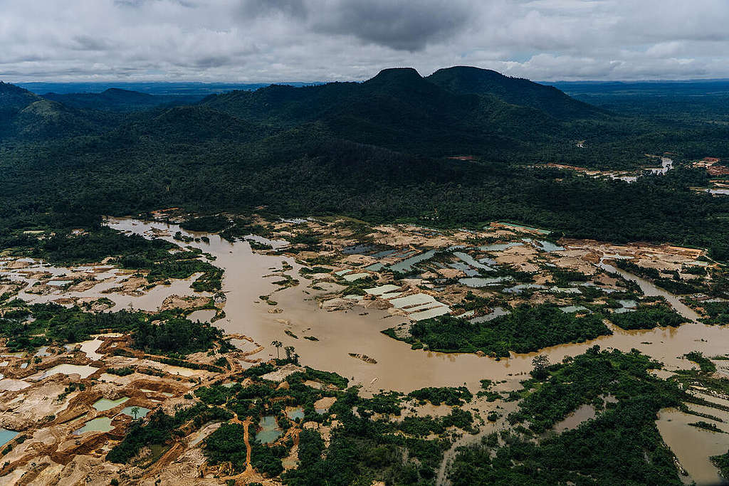 Overflight on Munduruku and Kayapó Territories in Pará, Brazil. © Christian Braga / Greenpeace