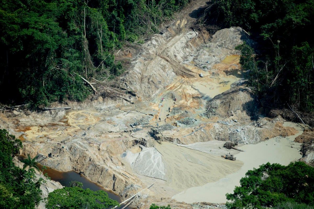 Illegal gold mining continues to harm  ecosystem - AGU Newsroom