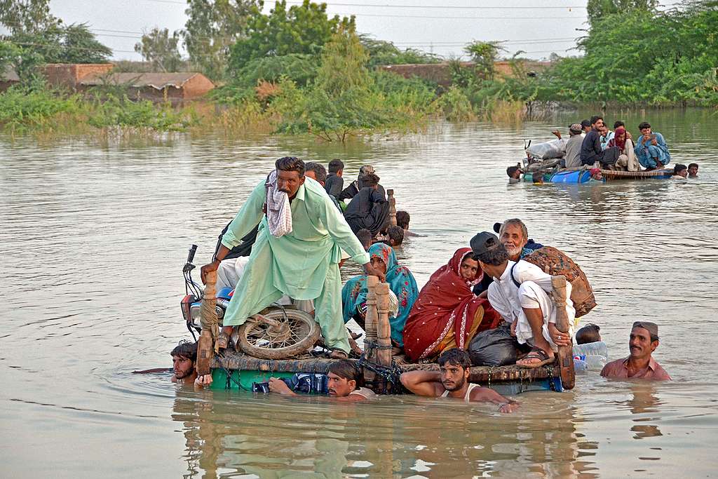 Le foto dell’emergenza climatica da anno ad oggi