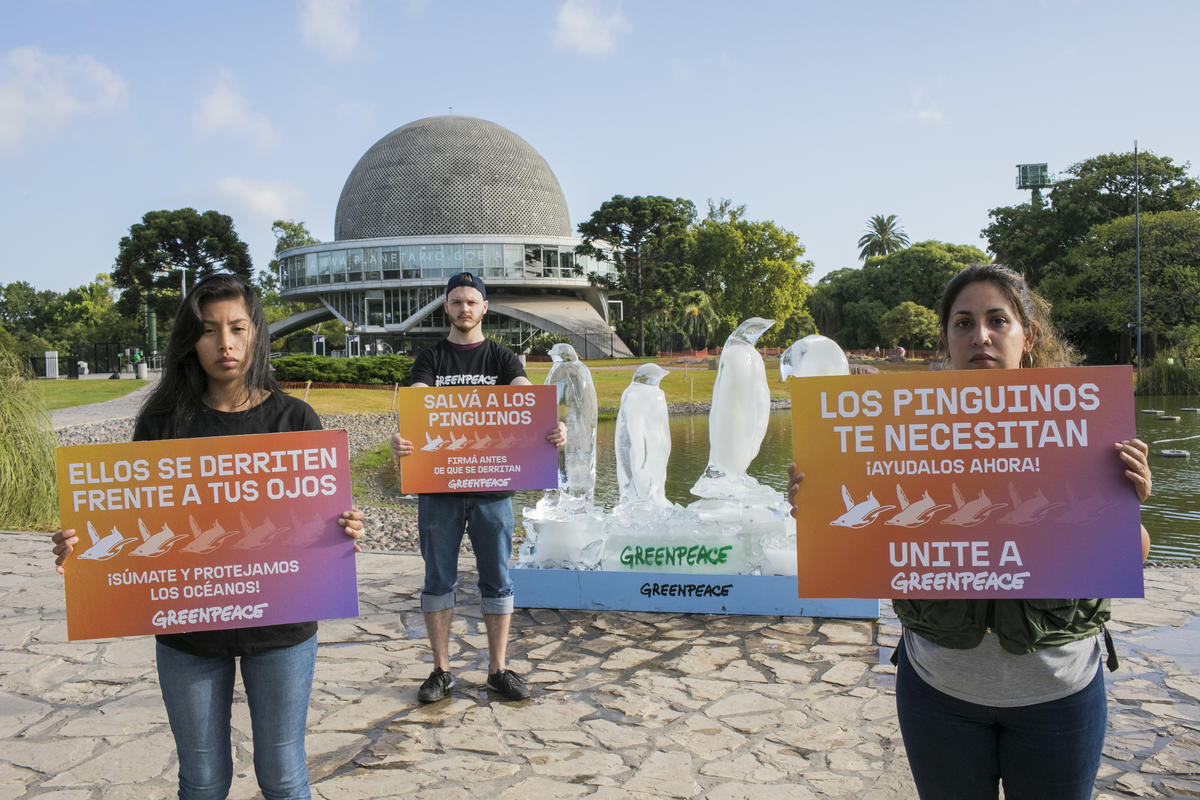 Penguin Ice Sculptures in Buenos Aires. © Sebastian Pani / Greenpeace
