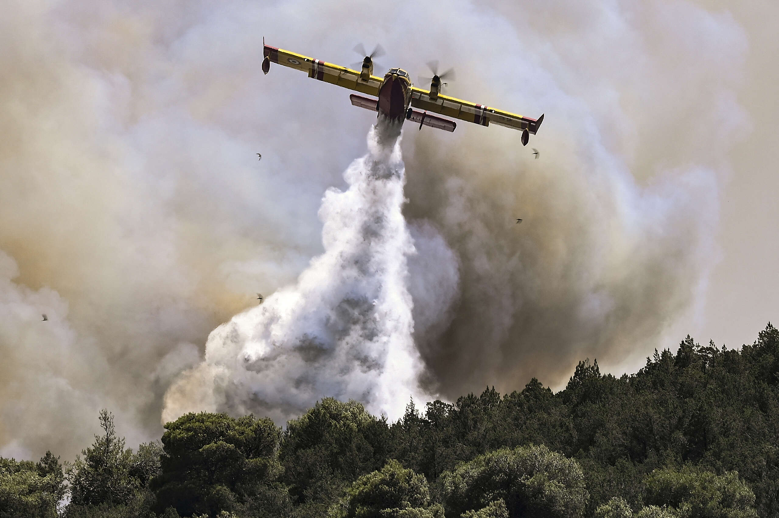 A firefighting plane sprays water during a fire in Dervenochoria, north-west of Athens © Spyros BAKALIS / AFP