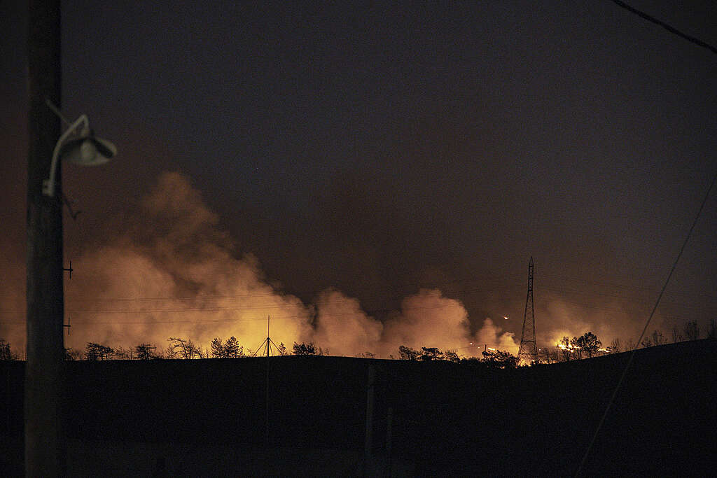 Wildfires continue on the Greek island of Rhodes, Greece, 25 July © STR/NurPhoto Wildfires continue on the Greek island of Rhodes, Greece, 25 July © STR/NurPhoto