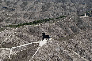 10 environmental challenges in Spain from above - Greenpeace International