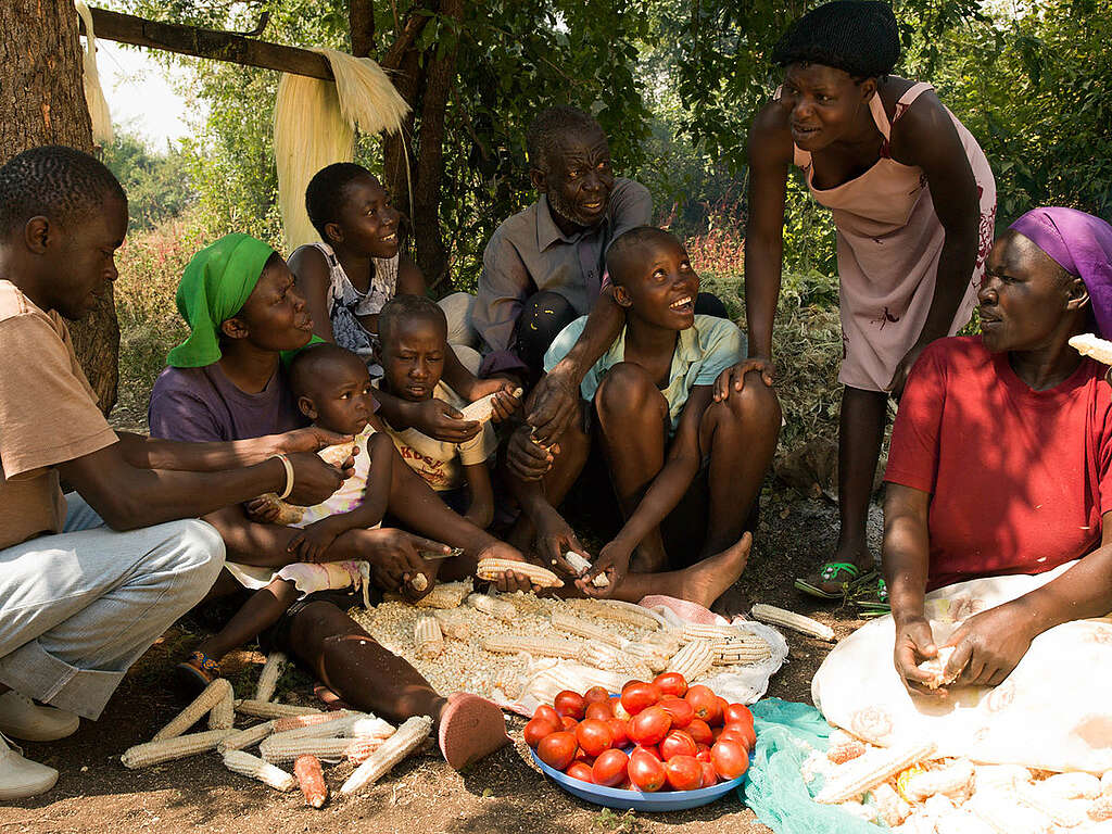 Ecological Farmer with His Family in Kenya. © Peter Caton / Greenpeace