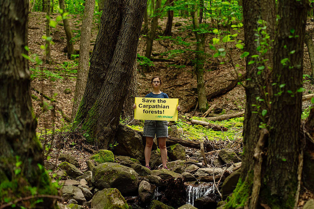 Carpathian Expedition in Hungary. © Max Zielinski / Greenpeace