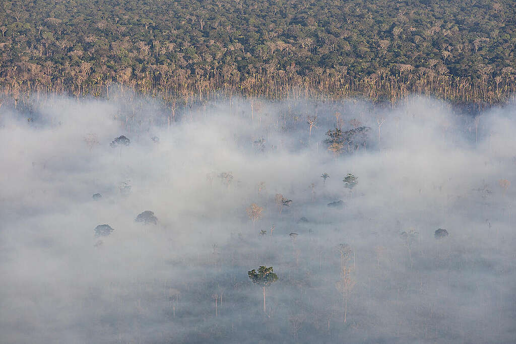 Fire Monitoring in the Amazon in Brazil in August, 2023. © Marizilda Cruppe / Greenpeace