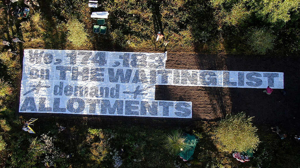 Artists guerrilla-plant giant living artwork at Tesco site. © Greenpeace