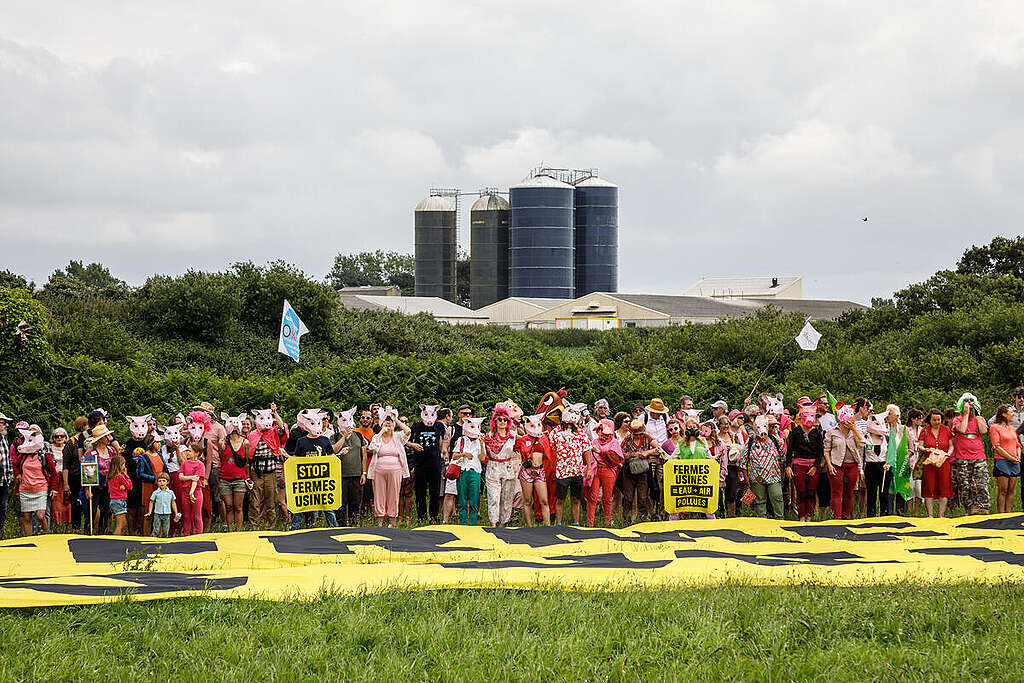 Protest against Avel Vor Mega Livestock in Landunvez. © Marie Sebire / Greenpeace Protest against Avel Vor Mega Livestock in Landunvez. © Marie Sebire / Greenpeace