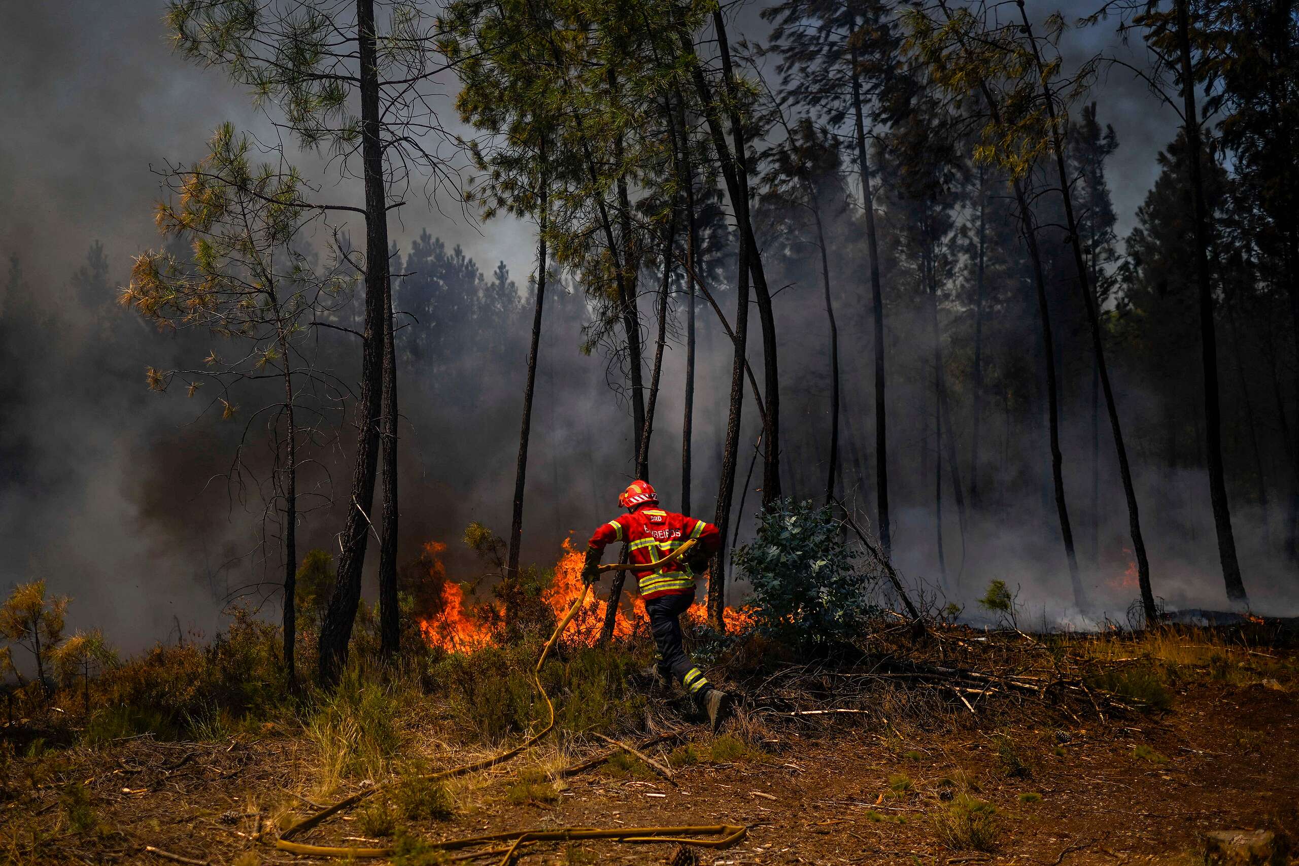 Firefighters battle a wildfire in Carrascal, Proenca a Nova on August 6, 2023. More than 1,000 firefighters battled a wildfire in central Portugal as officials warned that thousands of hectares were at risk amid soaring temperatures across the country. © PATRICIA DE MELO MOREIRA/AFP via Getty Images