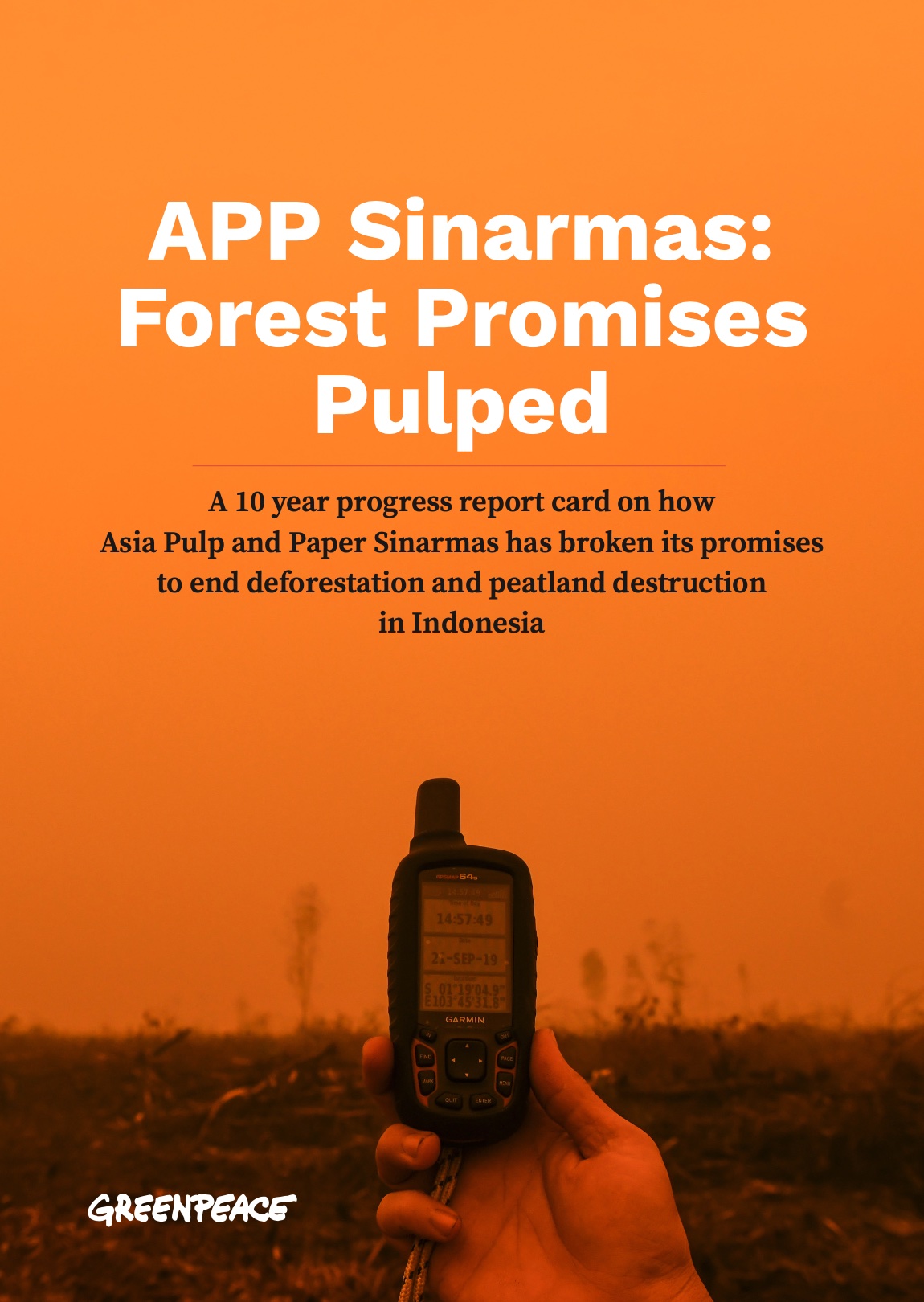 APP Sinarmas Forest Promises Pulped report cover