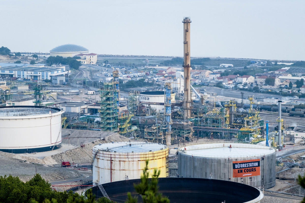 Activists Unfurl a Banner at TOTAL Bio-refinery in the South of France that reads: Deforestation in progress. © Simon Lambert / Greenpeace