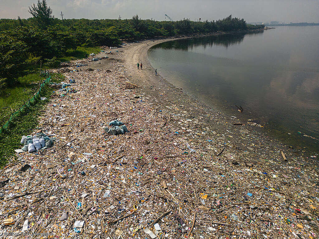 Plastic trash around Freedom Island at Las Pinas, Philippines. The amount of plastic trash here does not stop even with the continuous shore clean up by various groups.