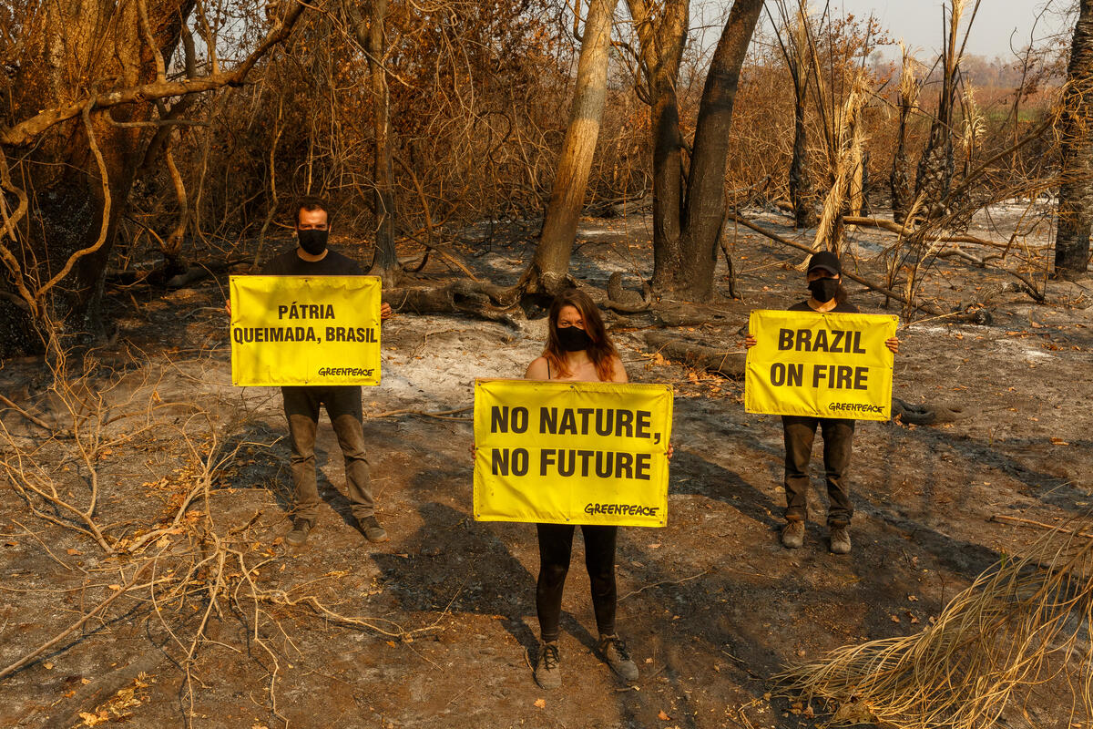 Monument to Destruction in the Pantanal in Brazil. © Diego Baravelli / Greenpeace