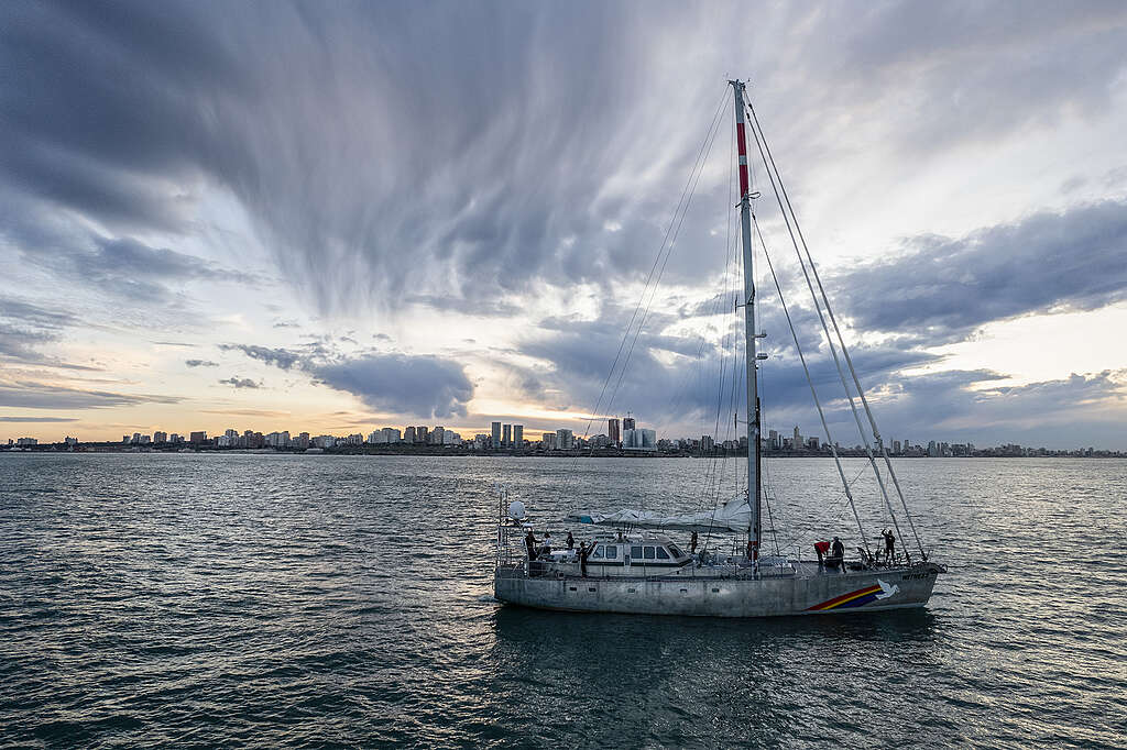 The civil society organisation, Whale Conservation Institute (ICB) and Greenpeace, aboard the SY Witness, a Greenpeace sailboat, tour around the area of the Argentine Sea where the oil industry plans to carry out seismic explorations, off the coast of Buenos Aires, Río Negro and Chubut. The Greenpeace ship toured for a week in the North Argentina basin, where the area is awarded to the oil industry. The Argentine Sea serves as the feeding ground and a migratory path of the Southern Right Whale and plays a natural importance especially for emblematic species of Argentine biodiversity. © Osvaldo Tesoro / Greenpeace
