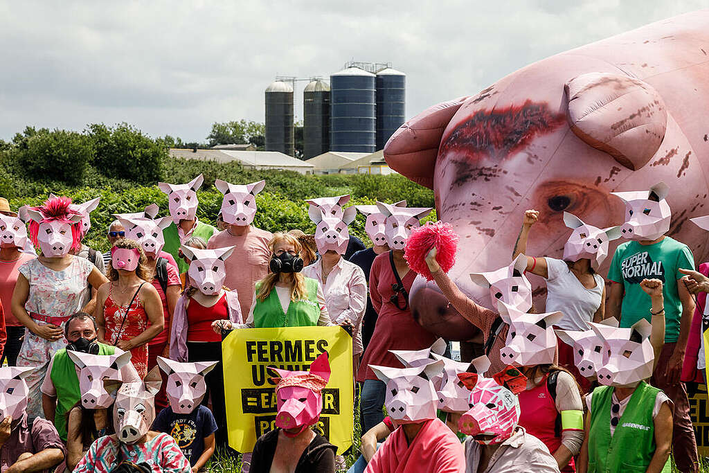 Protest against Avel Vor Mega Livestock in Landunvez. © Marie Sebire / Greenpeace