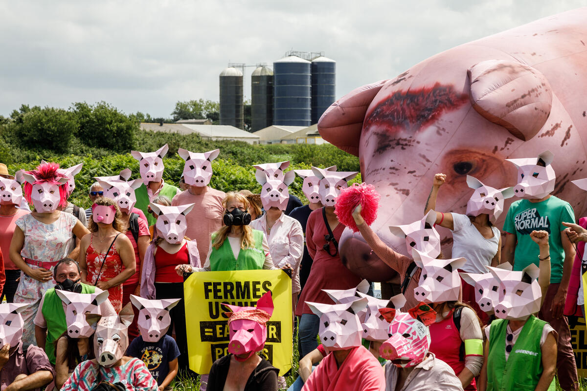 Protest against Avel Vor Mega Livestock in Landunvez. © Marie Sebire / Greenpeace Protest against Avel Vor Mega Livestock in Landunvez. © Marie Sebire / Greenpeace