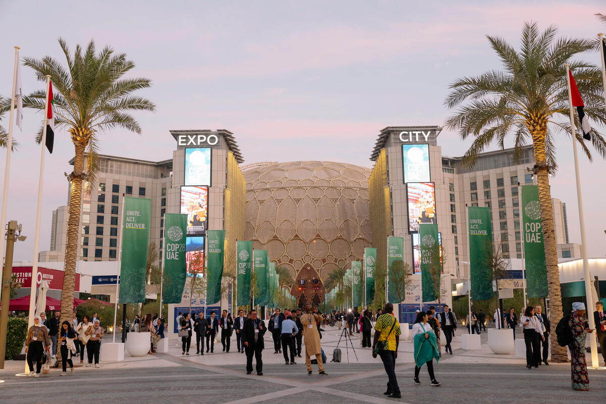 COP 28 Venue Dubai. © Marie Jacquemin / Greenpeace