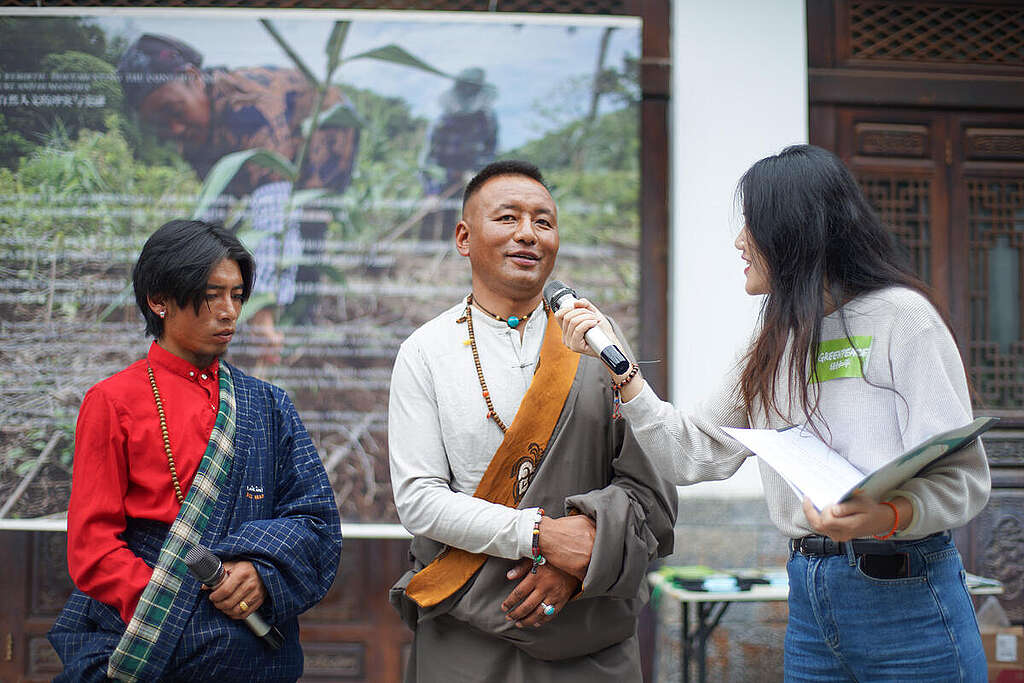 Artists at the "Restoration and Rebirth" Exhibition in China. © Greenpeace / Yan Tu