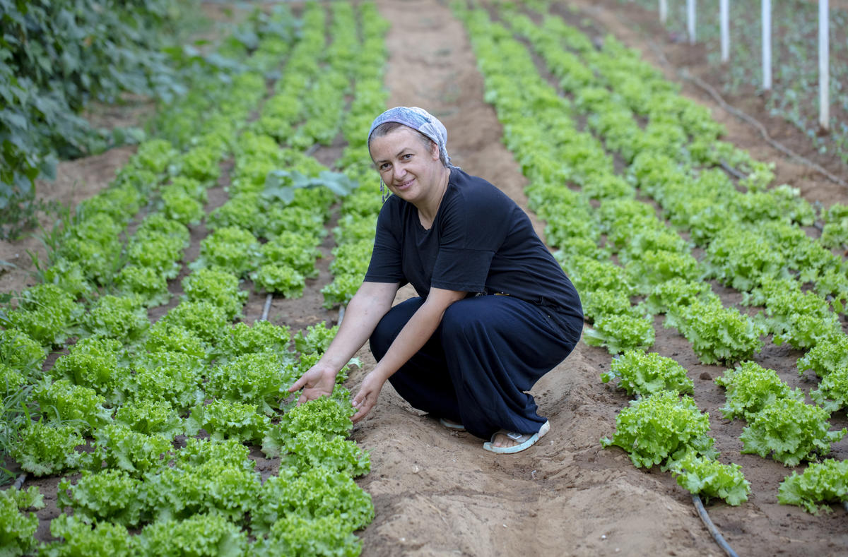 Ecological Farming in İstanbul. © Caner GUEVERA / Greenpeace