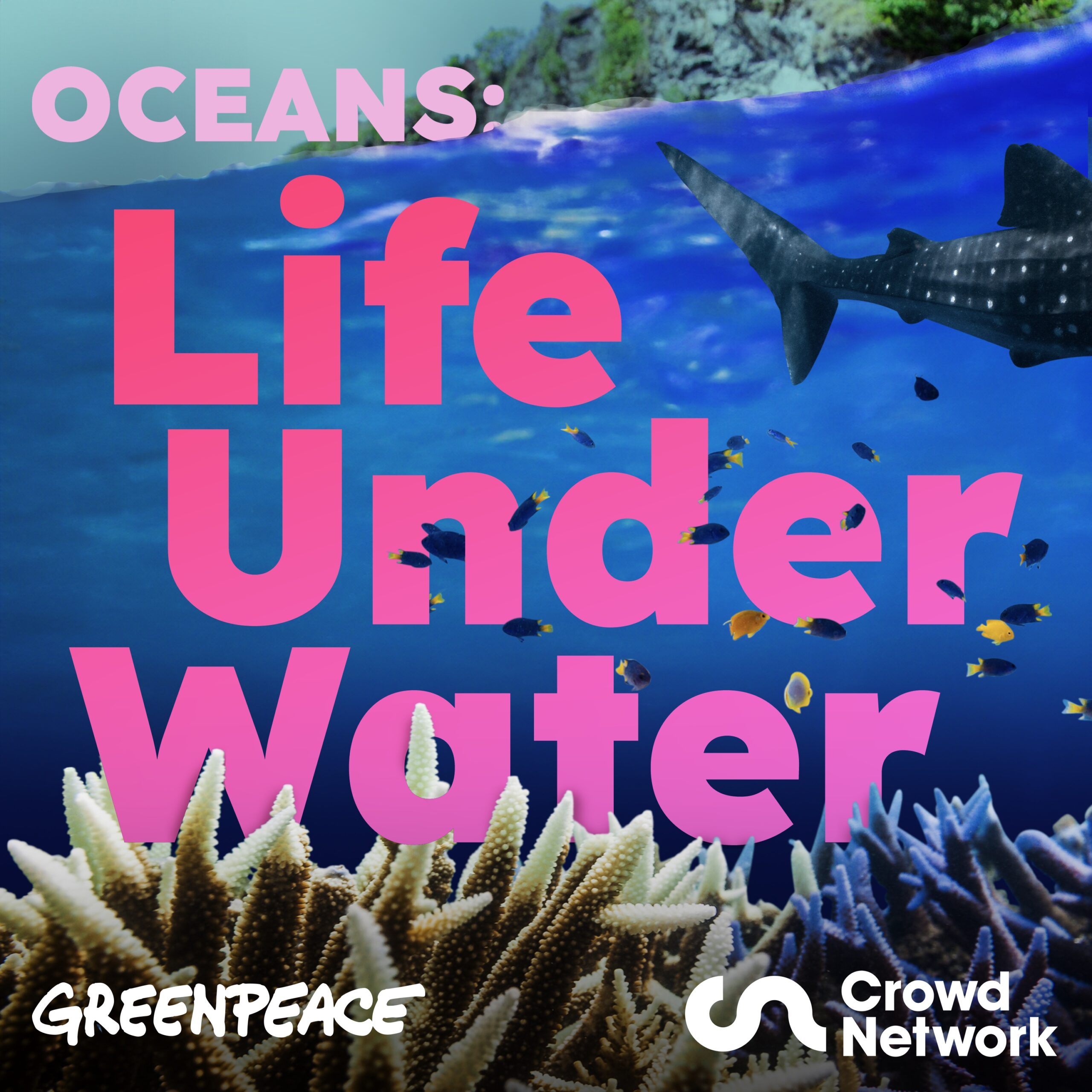 Oceans Life Under Water GPUK