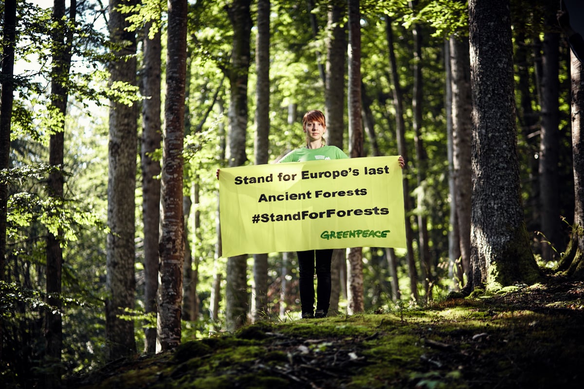 Acción de pancarta en la estación de rescate forestal de Rumania. © Mitja Kobal / Greenpeace