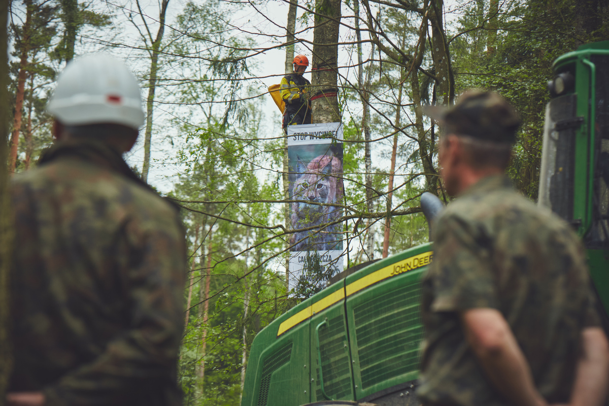 Stop Logging in Bialowieza Forest Action in Poland (2nd Action). © Greenpeace