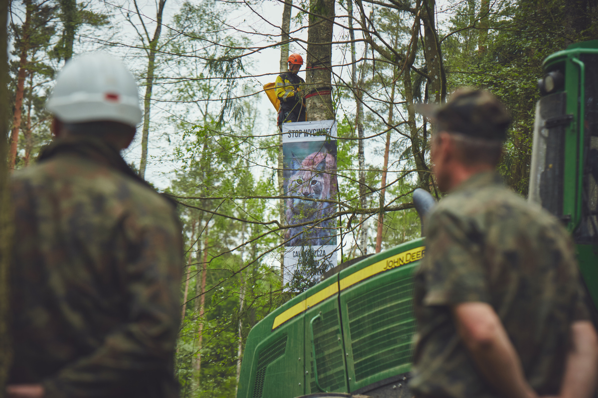 Acción para detener la tala en el bosque de Bialowieza en Polonia (segunda acción). © paz verde