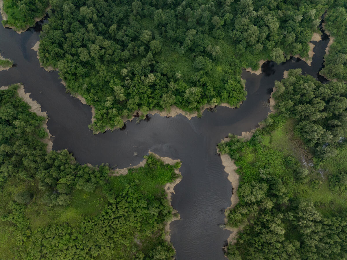 Aerial View of Amazon Coast Expedition in Brazil. © Enrico Marone / Greenpeace Aerial View of Amazon Coast Expedition in Brazil. © Enrico Marone / Greenpeace