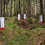 Greenpeace CEE activists place CLEÄRCUTTEN and FORESTGÖNE labels in old-growth forest in Romania to call on IKEA to clean up their supply chain and demand political change to protect our last high conservation value forests in Europe.