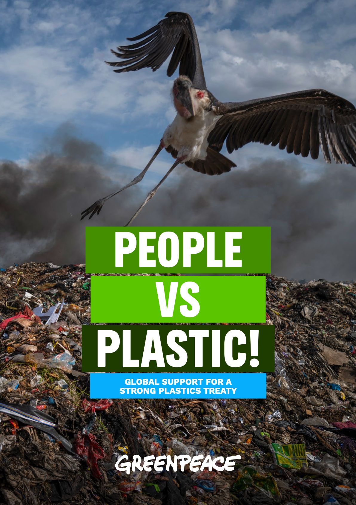 Survey Results Global Plastics Treaty cover