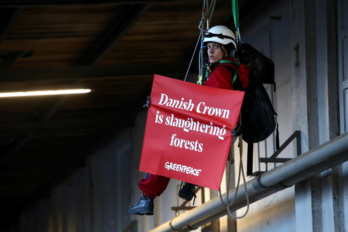 Action against Danish Crown Greenwashing in Denmark. © Will Rose / Greenpeace