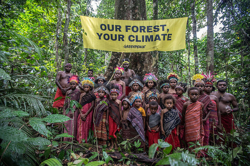 Photo Opp in Customary Forest in Sira Village. © Jurnasyanto Sukarno / Greenpeace