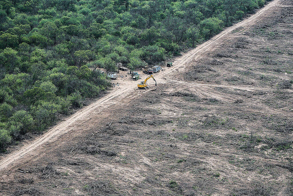 2023 Clearings in Chaco.  © Alejandro Espeche / Greenpeace© Alejandro Espeche / Greenpeace