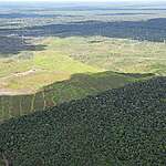 An investigation by Greenpeace Brasil identified that banks, based in Brazil and other countries, have been granting credit to rural property owners involved in deforestation and other socio-environmental irregularities in the Amazon. The report “Bankrolling Extinction: banks and investors as partners in deforestation” brings together this analysis and presents 12 case studies that demonstrate how this has been happening. The report reinforces the need for a more attentive and rigorous look at the financial system to prevent directing resources towards agricultural activities that destroy forests and fuel the climate emergency and the biodiversity crisis. #DefundNatureDestructionNow
