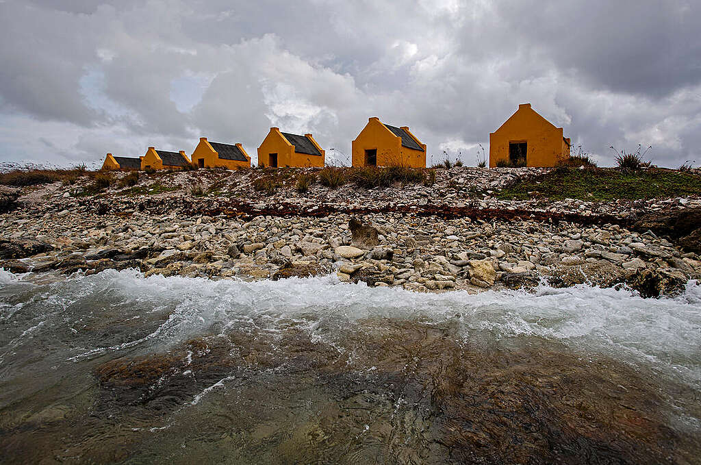 Historical slave huts on Bonaire. © Marten van Dijl / Greenpeace Historical slave huts on Bonaire. © Marten van Dijl / Greenpeace