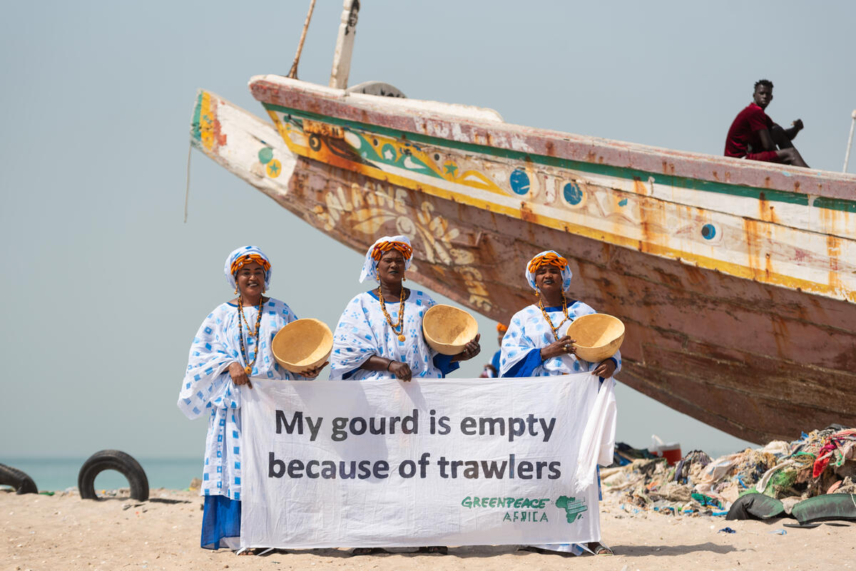 World Fisheries Day Activity in Senegal. © Clément Tardif / Greenpeace World Fisheries Day Activity in Senegal. © Clément Tardif / Greenpeace