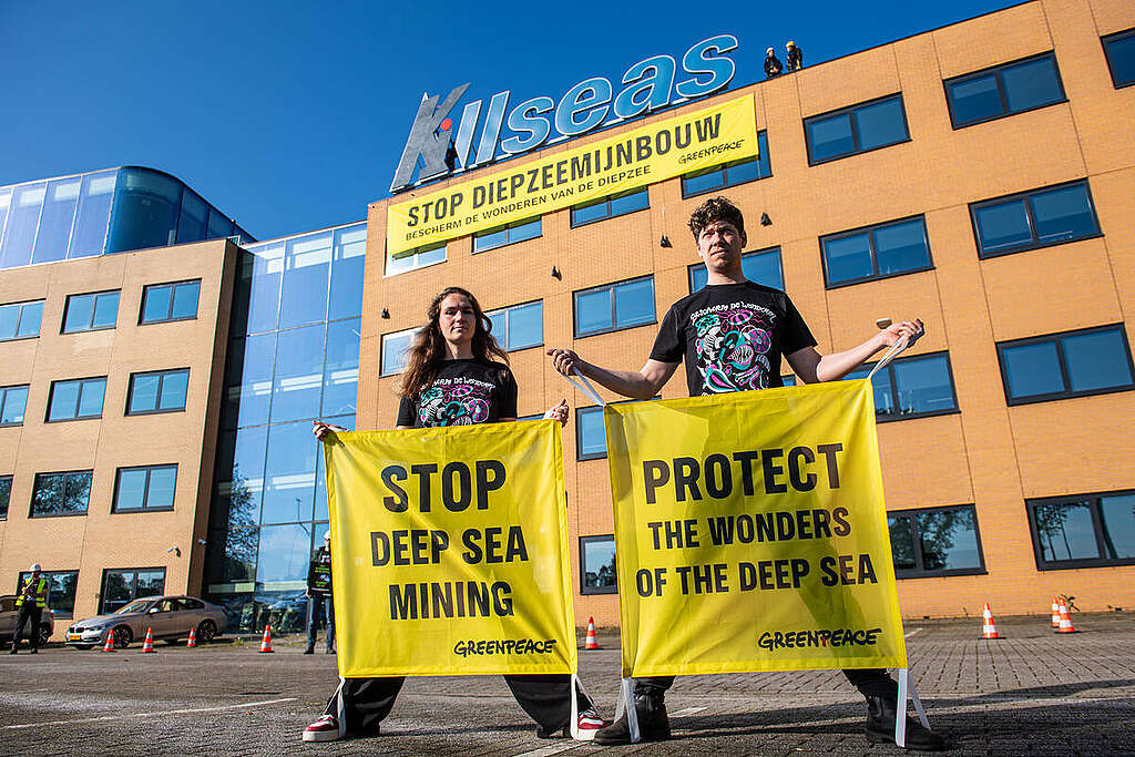5 reasons to be hopeful in the fight against deep sea mining ...