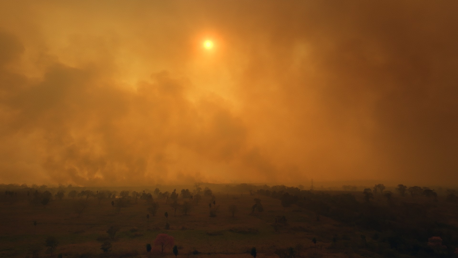 Forest fires rage through the Pantanal, Brazil, devastating vast areas of the world's largest tropical wetland. © Greenpeace / Studio Birthplace.